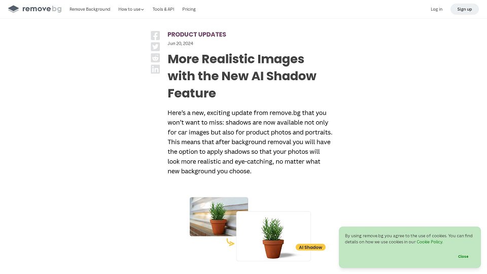 Screenshot for More Realistic Images with the New AI Shadow Feature – remove.bg Blog